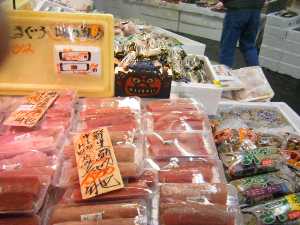 �y���W�����{�s�I�j�R��2008 �c�����X �܂�������_2
